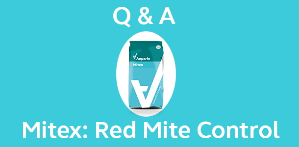 Q&A: Mitex - Red Mite Control